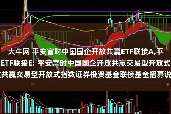 大牛网 平安富时中国国企开放共赢ETF联接A,平安富时中国国企开放共赢ETF联接E: 平安富时中国国企开放共赢交易型开放式指数证券投资基金联接基金招募说明书(更新)