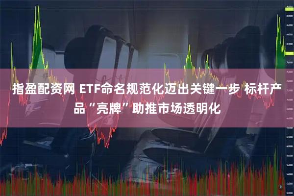 指盈配资网 ETF命名规范化迈出关键一步 标杆产品“亮牌”助推市场透明化