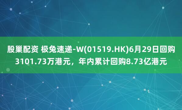 股巢配资 极兔速递-W(01519.HK)6月29日回购3101.73万港元，年内累计回购8.73亿港元